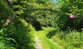 Tocht Stappen Bièvre - Balade à Bellefontaine - Bièvre - Photo 7