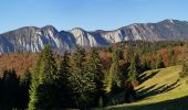 Excursión A pie Brașov - Brașov (Solomon) - Vf. Postăvaru - Predeal - Photo 3