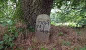 Tocht Te voet Immenhausen - Ahlberg-Reinersen-Rundweg - Photo 10