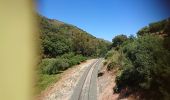 Tocht Te voet Benaoján - Sendero del Río Guadiaro - Photo 4