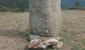 Randonnée Marche Aumessas - aumessas au col de mouzoules - Photo 3