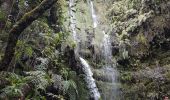 Tour Wandern Santana - Madère : Caldeirao Verde puis Caldeirao do Inferno - Photo 4