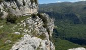 Excursión Senderismo Le Bar-sur-Loup - Callivore2 - Photo 14