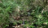 Trail Walking Saint-Laurent-sous-Coiron - St- Laurent-sous-Coiron la Louyre 18Km. - Photo 3