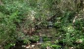 Tour Wandern Saint-Laurent-sous-Coiron - St Laurent sous Coiron la Louyre 19Km - Photo 3