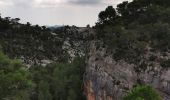 Tocht Stappen Beaurecueil - Sainte Victoire : Barrages de Bimont et Zola - Photo 9