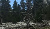 Tour Wandern Saint-Agnan-en-Vercors - Grand Veymont par pré râteau  - Photo 3