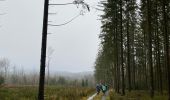 Tocht Stappen La Roche-en-Ardenne - Vecmont - Photo 13