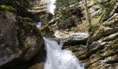 Trail Walking Saint-Vincent-de-Mercuze - Cascades de l'Alloix - Photo 17