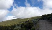 Tocht Stappen Saint-Paul - Du maido à la glacière ( aller retour )  - Photo 3