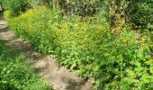 Tour Wandern Les Arcs-sur-Argens - z le pont de l'Aille 19-04-22 - Photo 3