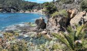 Trail Walking Hyères - Tour de la Presqu'île de Giens-05-04-23 - Photo 12