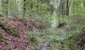 Trail Walking Orrouy - en Forêt de Compiègne_41_autour des Petits Monts - Photo 4