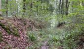 Tocht Stappen Orrouy - en Forêt de Compiègne_41_autour des Petits Monts - Photo 4