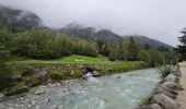 Tour Wandern Chamonix-Mont-Blanc - J9 - Petit Balcon Sud : Les Praz de Chamonix - Argentière - Photo 9