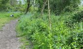 Tocht Stappen Étaples - Étaples - La forestière  - Photo 6