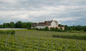 Tour Zu Fuß Immenstaad am Bodensee - Apfel- und Weinspazierweg Immenstaad - Photo 1