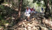 Trail Walking Montauroux - Les gorges de la Siagne et les chênes pluricentenaires - Photo 1