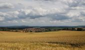 Excursión A pie Hammersbach - Panoramaweg - Photo 3