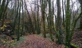 Trail Walking Sentheim - Montori - Photo 12