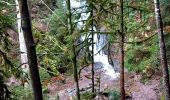 Trail Walking Gérardmer - gerardmer saut de la bourrique cascade merel - Photo 9