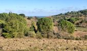 Tocht Stappen Port-Vendres - vinaigrerie - Photo 3