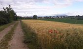 Tocht Stappen Heimsbrunn - 19.06.20.HeimMorchHochGalfBurnRein,retour  - Photo 1