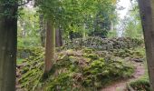 Randonnée Marche Niederhaslach - Niederhaslach - châteaux Ringelstein - Rochers du Pfaffenlapp et du Breitberg - Photo 7