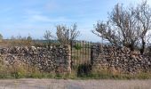 Trail Walking Leucate - plateau de leucat sud-est sans grand route  - Photo 3