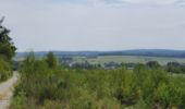 Tocht Stappen Saint-Hubert - rando arville 13/08/2020 - Photo 1