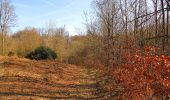 Trail On foot Vieux-Moulin - en forêt de Compiègne_23_la Grotte des Ramoneurs_le Mont Berny - Photo 13