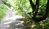 Tour Wandern Weismes - Robert ville, Warche - Photo 7