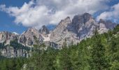 Tocht Te voet Cortina d'Ampezzo - Sentiero C.A.I. 212, Bivio sopra Mandres - Faloria - Strada Tre Croci - Photo 5