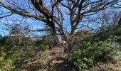 Trail Walking Seynes - Mont Bouquet - Photo 1