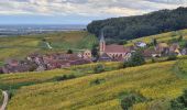 Randonnée Marche Nothalten - L'Abbaye de Baumgarten - Photo 13