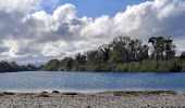 Excursión Senderismo Argelès-sur-Mer - Boucle du Mas Larrieu - Photo 4