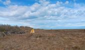 Tour Wandern Argelès-sur-Mer - mas larrieu - argeles / l hiver - Photo 19