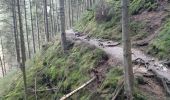 Tour Wandern Malmedy - malmedy . ferme libert .  tro maret . ferme libert . malmedy par les crêtes  - Photo 15