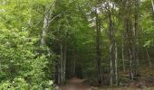 Tocht Stappen Forest-Saint-Julien - Aqueduc des Gorges. Circuit des Caneaux. 10/06/19. - Photo 2