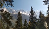 Randonnée Marche Chamonix-Mont-Blanc - 20211010 Chamonix Les Praz Sud - Photo 4