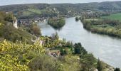 Trail Walking Les Andelys - Les falaises de craies des Andelys  - Photo 14