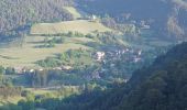 Tocht Stappen Verdaches - VERDACHE Tour de Gareous , pâturages du Blayeul n - Photo 4