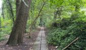 Trail Walking Oudenaarde - Audenarde Oudenaarde 11,6 km - Photo 8