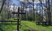 Trail Walking Houyet - Ciergnon lente 2024 - Photo 1