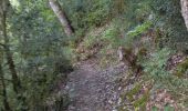 Trail Walking Barret-sur-Méouge - 05 gorges meouge 03.08.23. semi aquatique un - Photo 12