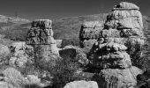 Excursión Senderismo Vence - Col de Vence - Village des Idôles - Puy de Tourettes - Pic des Courmettes - Tourettes sur Loup - Photo 1