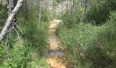 Trail Walking Ampus - Ampus,,,, menhir....N.D. de Speluque...chemin de l'eau - Photo 11
