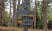 Tour Wandern Bédeilhac-et-Aynat - au pied du Calames - Photo 7