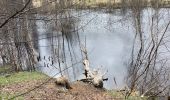 Tour Wandern Büllingen - Rocherath (Rocher de Bieley) 12 Km - Photo 11