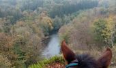 Trail Horseback riding Florenville - les épioux - Photo 1